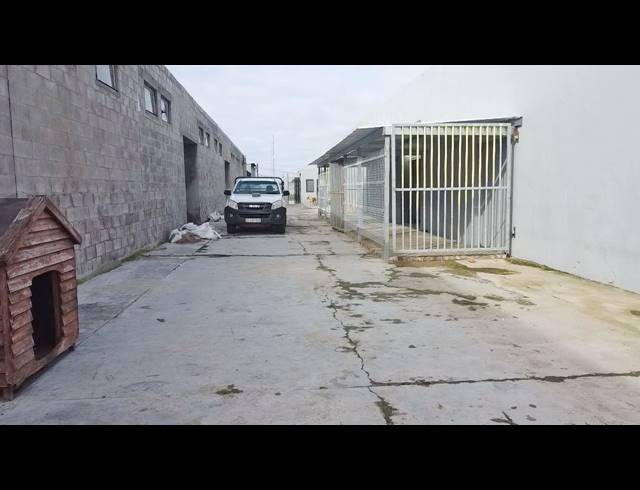 1,400M² WAREHOUSE FOR SALE IN PHILIPPI